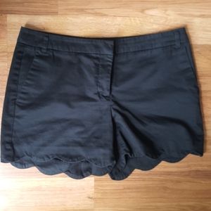Dahlia EUC womens black scalloped shorts size 6